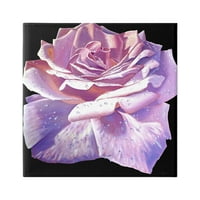 Ступел индустрии буйни розови розови листенца цвете водни капчици живопис галерия увити платно печат стена изкуство, дизайн от Алън Уестън