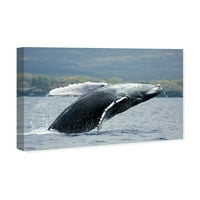 Уинууд студио животни картини 'гърбав кит от Дейвид Флийтъм' морски животни-сиво, Черно