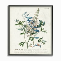 Ступел индустрии ботаническо растение илюстрация цветя и листа реколта дизайн рамкирани стена изкуство от неизвестен