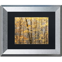 Търговска марка изобразително изкуство есенно дърво платно изкуство от Джейсън Шафър, Черен мат, сребърна рамка